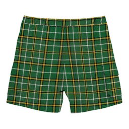 ScotsTee Shop Scottish Forrester Hunting Ancient Tartan Plaid Cargo Shorts for Men