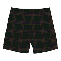 ScotsTee Shop Scottish Yen, Alexander Hunting Tartan Plaid Cargo Shorts for Men