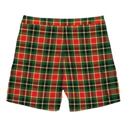 ScotsTee Shop Scottish MacLachlan Hunting Modern Tartan Plaid Cargo Shorts for Men