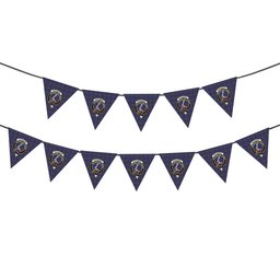 ScotsTee Shop Scottish Alexander of Menstry Crest Tartan Triangle Flags Tartan Bunting, Pennants (12pcs)