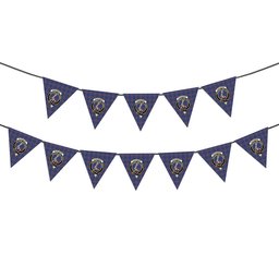 ScotsTee Shop Scottish Alexander of Menstry Modern Crest Tartan Triangle Flags Tartan Bunting, Pennants (12pcs)