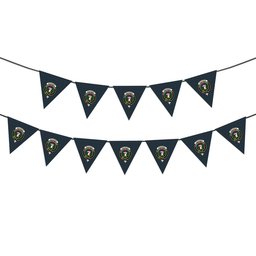 ScotsTee Shop Scottish Buchanan Hunting Modern Crest Tartan Triangle Flags Tartan Bunting, Pennants (12pcs)