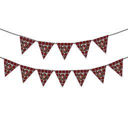 ScotsTee Shop Scottish Brodie Dress Crest Tartan Triangle Flags Tartan Bunting, Pennants (12pcs)
