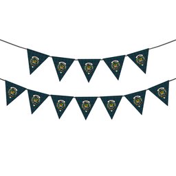 ScotsTee Shop Scottish Douglas Green Modern Crest Tartan Triangle Flags Tartan Bunting, Pennants (12pcs)