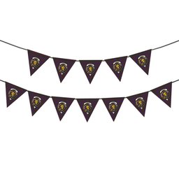 ScotsTee Shop Scottish Cumming 1810 Crest Tartan Triangle Flags Tartan Bunting, Pennants (12pcs)