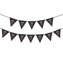 ScotsTee Shop Scottish Hay of Megginch Crest Tartan Triangle Flags Tartan Bunting, Pennants (12pcs)