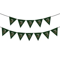 ScotsTee Shop Scottish Skene Hunting Crest Tartan Triangle Flags Tartan Bunting, Pennants (12pcs)