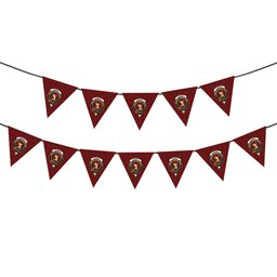 ScotsTee Shop Scottish Stewart of Rothesay 1 Crest Tartan Triangle Flags Tartan Bunting, Pennants (12pcs)