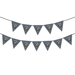 ScotsTee Shop Scottish Napier Modern Crest Tartan Triangle Flags Tartan Bunting, Pennants (12pcs)