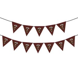 ScotsTee Shop Scottish MacRae The Prince_s Own Crest Tartan Triangle Flags Tartan Bunting, Pennants (12pcs)