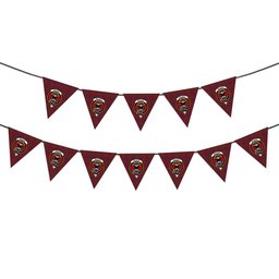 ScotsTee Shop Scottish McLeod Red Crest Tartan Triangle Flags Tartan Bunting, Pennants (12pcs)