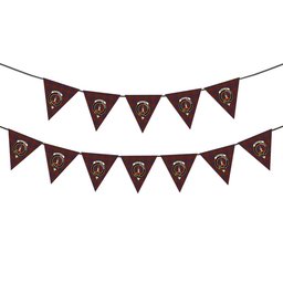 ScotsTee Shop Scottish MacIntyre of Gatehouse Crest Tartan Triangle Flags Tartan Bunting, Pennants (12pcs)