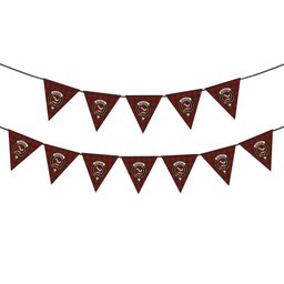 ScotsTee Shop Scottish MacDougall 1831 Crest Tartan Triangle Flags Tartan Bunting, Pennants (12pcs)