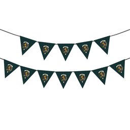 ScotsTee Shop Scottish Walker Hunting Modern Crest Tartan Triangle Flags Tartan Bunting, Pennants (12pcs)