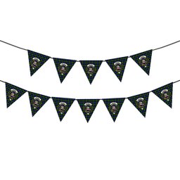 ScotsTee Shop Scottish MacNeill of Barra Modern Crest Tartan Triangle Flags Tartan Bunting, Pennants (12pcs)
