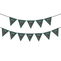 ScotsTee Shop Scottish Ogilvie (Ogilvy) Hunting Ancient Crest Tartan Triangle Flags Tartan Bunting, Pennants (12pcs)