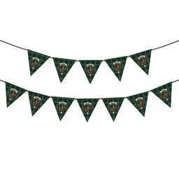 ScotsTee Shop Scottish McAuley Hunting Ancient Crest Tartan Triangle Flags Tartan Bunting, Pennants (12pcs)