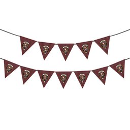 ScotsTee Shop Scottish Murray of Polmaise Crest Tartan Triangle Flags Tartan Bunting, Pennants (12pcs)