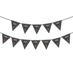 ScotsTee Shop Scottish MacLeod Of Californian Crest Tartan Triangle Flags Tartan Bunting, Pennants (12pcs)
