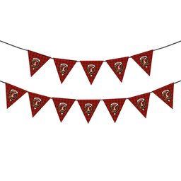 ScotsTee Shop Scottish Matheson Modern Crest Tartan Triangle Flags Tartan Bunting, Pennants (12pcs)