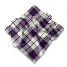 ScotsTee Shop Scottish Alexander of Menstry Dress Modern Tartan Pocket Square, Scarf, Handkerchief
