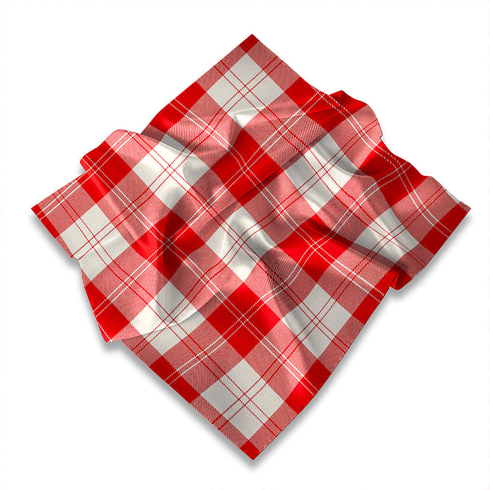 ScotsTee Shop Scottish Erskine Hunting Ancient Tartan Pocket Square, Scarf, Handkerchief