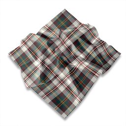 ScotsTee Shop Scottish Hay and Leith Modern Tartan Pocket Square, Scarf, Handkerchief