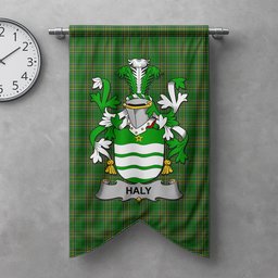 ScotsTee Shop Irish Haly Clan Coat of Arms Irish Tartan Gonfalon Flag