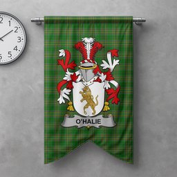 ScotsTee Shop Irish Halie or O'Halie Clan Coat of Arms Irish Tartan Gonfalon Flag
