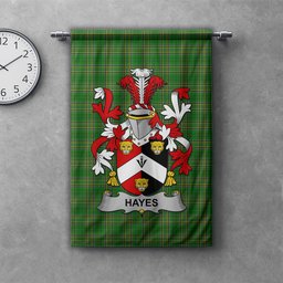 ScotsTee Shop Irish Hayes Clan Coat of Arms Irish Tartan Gonfalon Flag