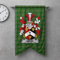 ScotsTee Shop Irish Hayes Clan Coat of Arms Irish Tartan Gonfalon Flag