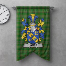 ScotsTee Shop Irish James Clan Coat of Arms Irish Tartan Gonfalon Flag