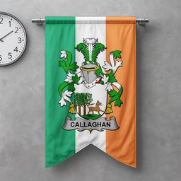ScotsTee Shop Irish Callaghan or O'Callaghan Clan Coat of Arms Irish Tartan Gonfalon Flag
