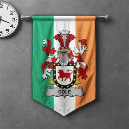 ScotsTee Shop Irish Cole Clan Coat of Arms Irish Tartan Gonfalon Flag