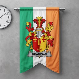 ScotsTee Shop Irish Branigan or O'Branagan Clan Coat of Arms Irish Tartan Gonfalon Flag