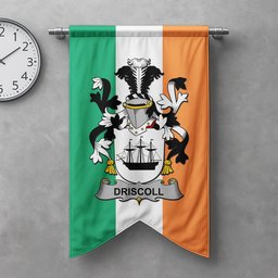 ScotsTee Shop Irish Driscoll or O'Driscoll Clan Coat of Arms Irish Tartan Gonfalon Flag