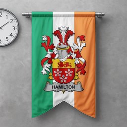 ScotsTee Shop Irish Hamilton Clan Coat of Arms Irish Tartan Gonfalon Flag