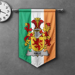 ScotsTee Shop Irish Hale or McHale Clan Coat of Arms Irish Tartan Gonfalon Flag