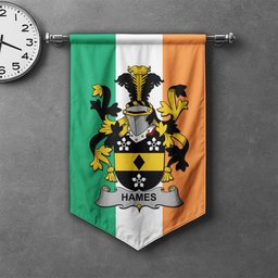 ScotsTee Shop Irish Hames Clan Coat of Arms Irish Tartan Gonfalon Flag