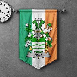 ScotsTee Shop Irish Haly Clan Coat of Arms Irish Tartan Gonfalon Flag