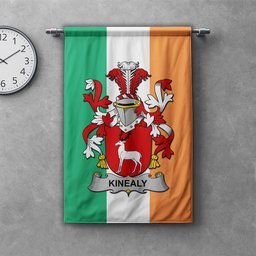 ScotsTee Shop Irish Kinealy or O'Kinnally Clan Coat of Arms Irish Tartan Gonfalon Flag