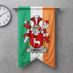 ScotsTee Shop Irish Kinealy or O'Kinnally Clan Coat of Arms Irish Tartan Gonfalon Flag