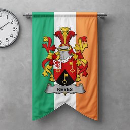 ScotsTee Shop Irish Keyes Clan Coat of Arms Irish Tartan Gonfalon Flag