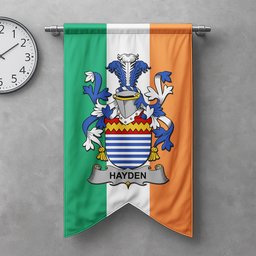 ScotsTee Shop Irish Hayden or O'Hayden Clan Coat of Arms Irish Tartan Gonfalon Flag