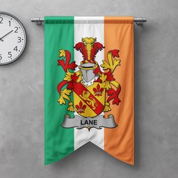 ScotsTee Shop Irish Lane Clan Coat of Arms Irish Tartan Gonfalon Flag