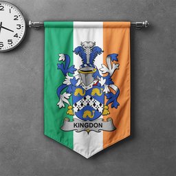 ScotsTee Shop Irish Kingdon Clan Coat of Arms Irish Tartan Gonfalon Flag