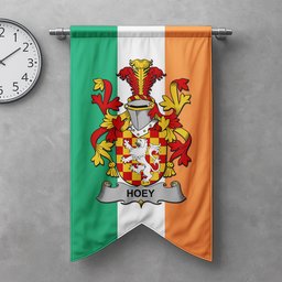ScotsTee Shop Irish Hoey or O'Hoey Clan Coat of Arms Irish Tartan Gonfalon Flag
