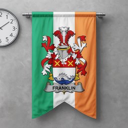 ScotsTee Shop Irish Franklin Clan Coat of Arms Irish Tartan Gonfalon Flag
