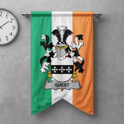 ScotsTee Shop Irish Guest Clan Coat of Arms Irish Tartan Gonfalon Flag