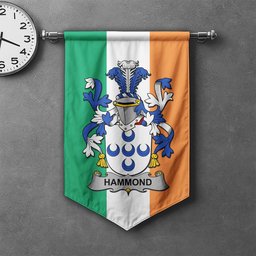 ScotsTee Shop Irish Hammond Clan Coat of Arms Irish Tartan Gonfalon Flag